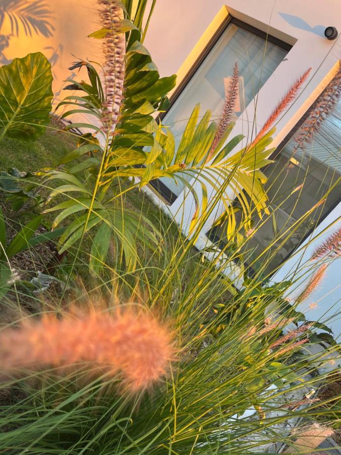 L'Empreinte-Oasis De Serenite Au Coeur D'Un Jardin Tropical Le Tampon Eksteriør billede