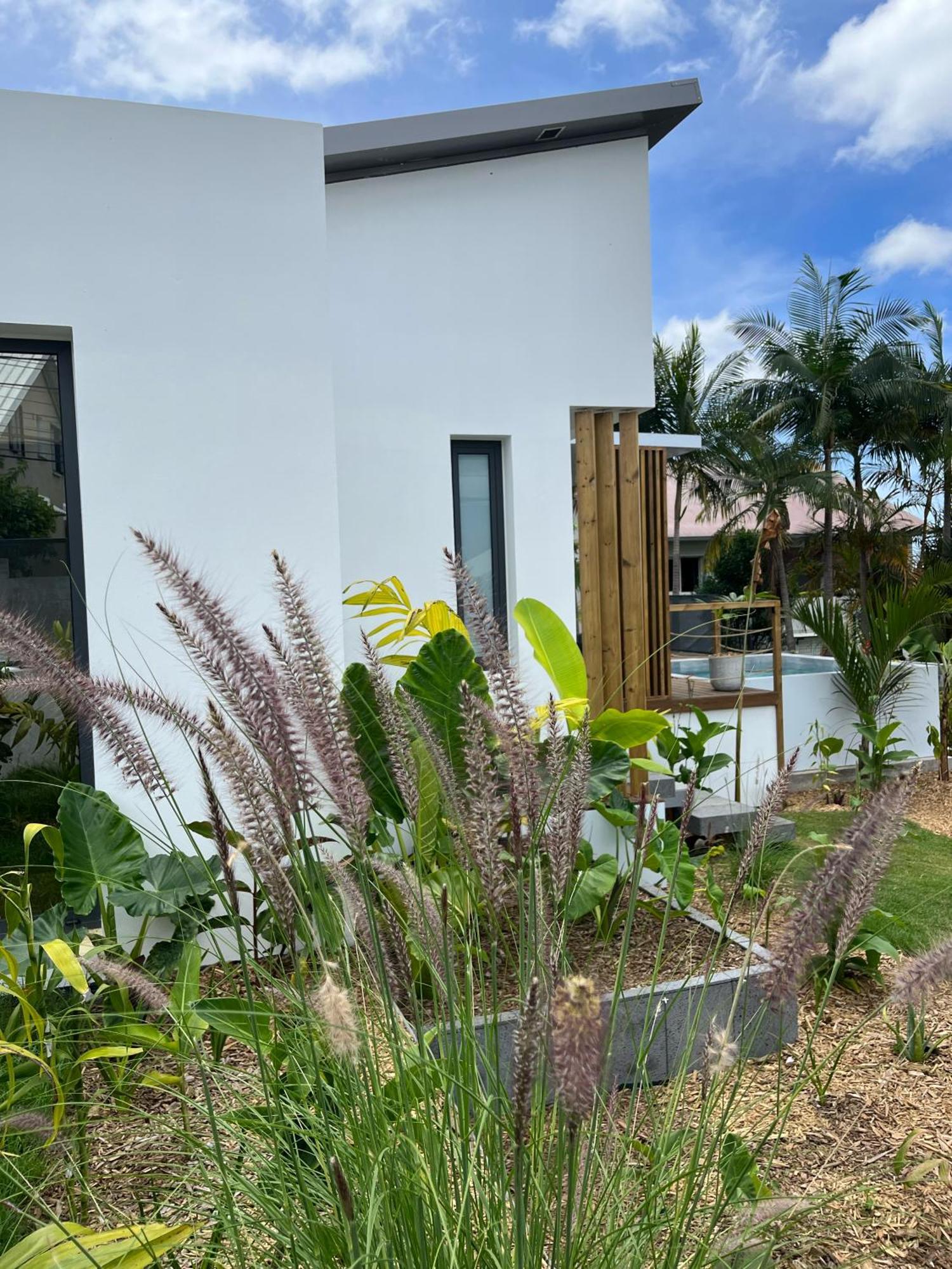 L'Empreinte-Oasis De Serenite Au Coeur D'Un Jardin Tropical Le Tampon Eksteriør billede